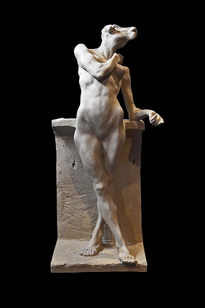 Ewe endangered species 3